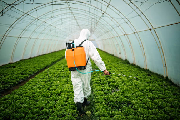 Professional Pest Control in Flora, IL