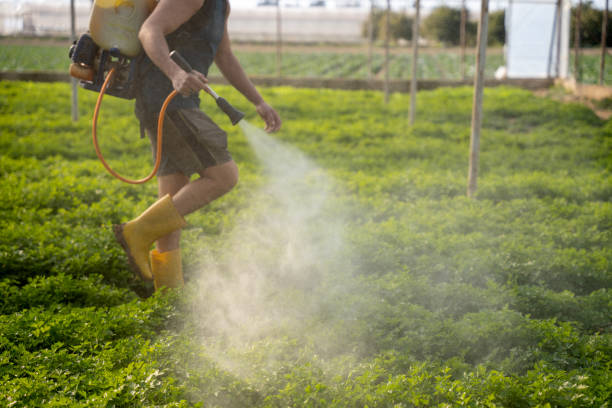 Best Pest Control Near Me in Flora, IL