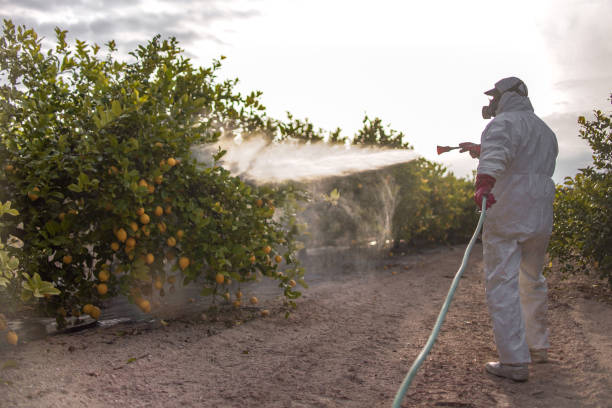 Best Pest Control Treatment  in Flora, IL