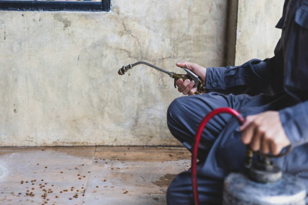 Best Cockroach Control Services  in Flora, IL